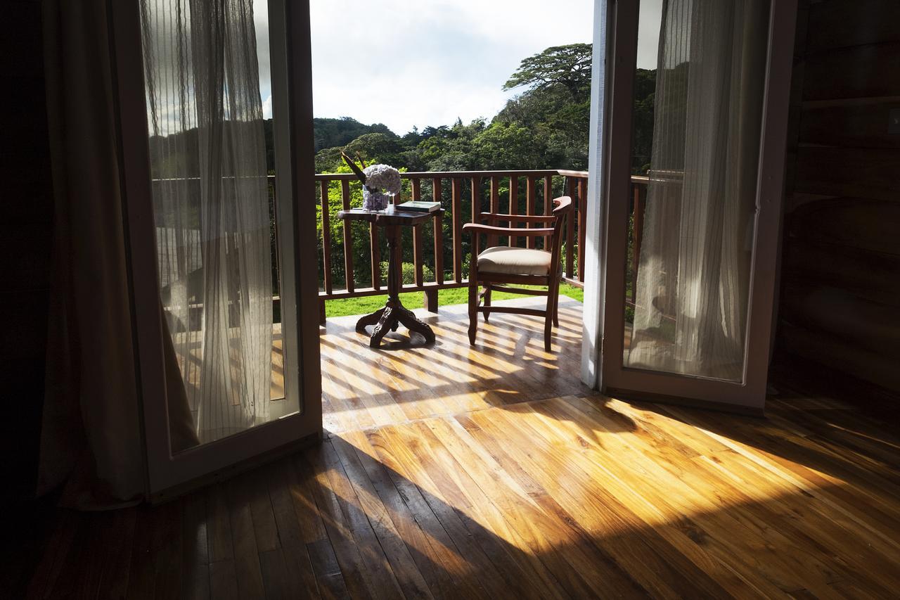 Hotel Bosque Verde Lodge Монте-Верде Экстерьер фото