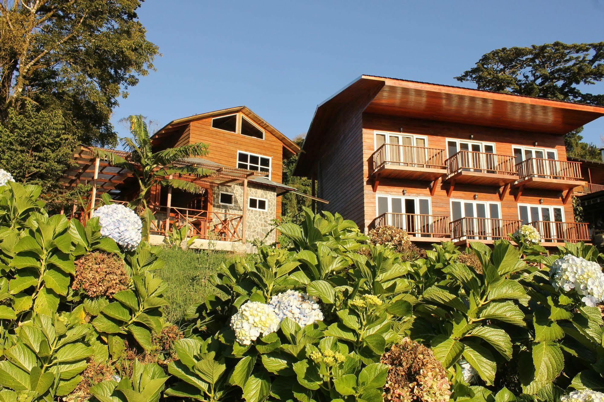 Hotel Bosque Verde Lodge Монте-Верде Экстерьер фото