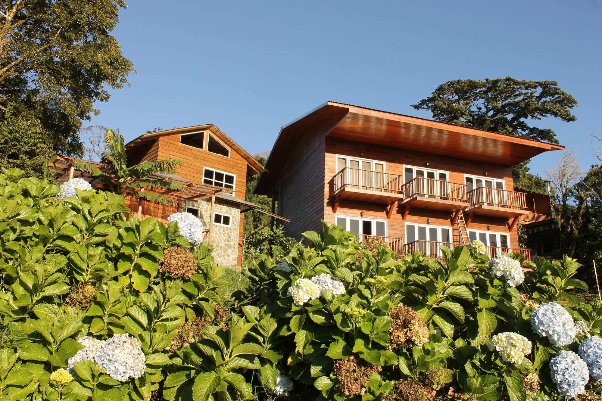 Hotel Bosque Verde Lodge Монте-Верде Экстерьер фото